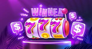 campeon bet